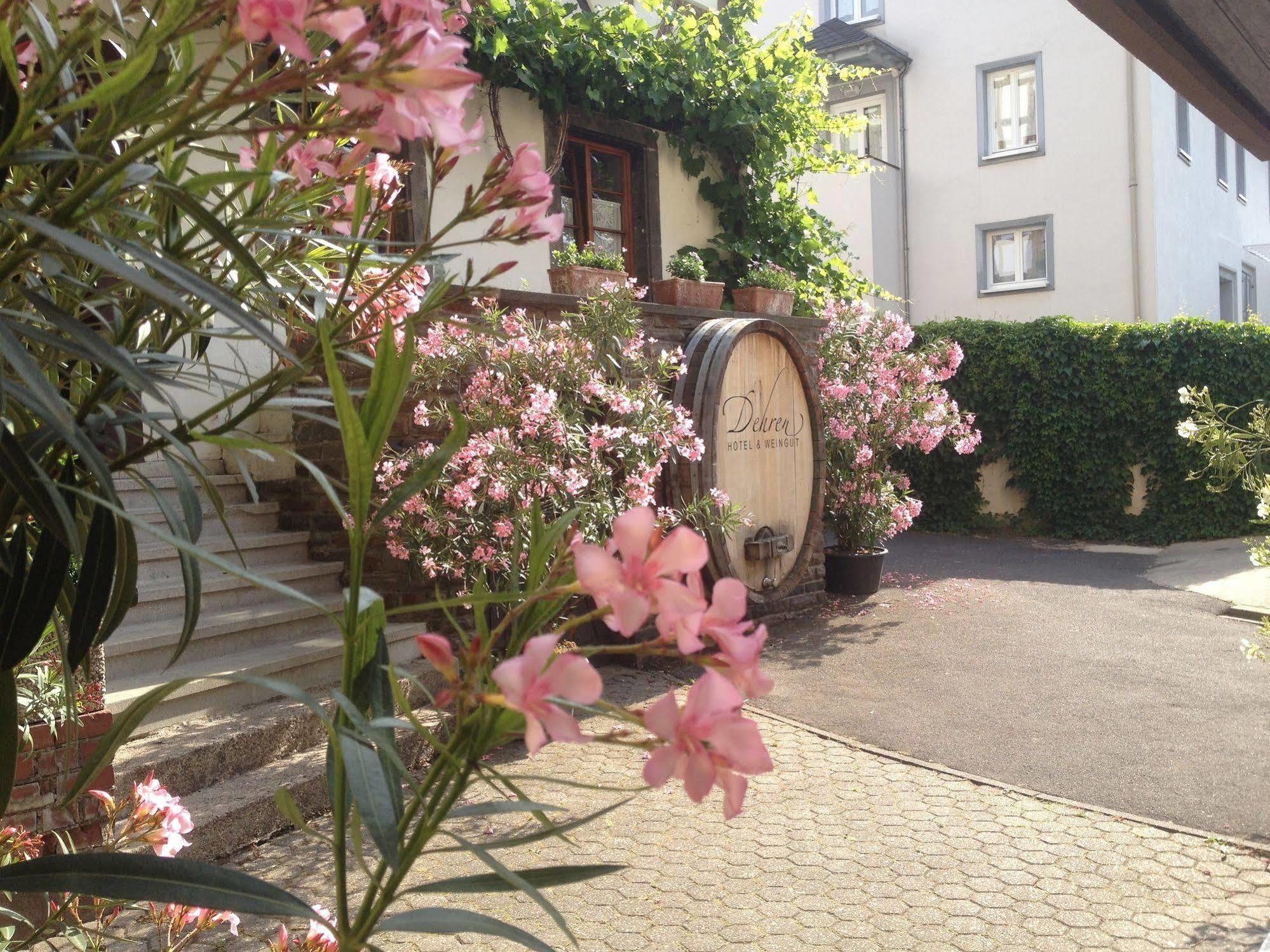 Hotel Weingut Dehren Элленц-Польтерсдорф Экстерьер фото