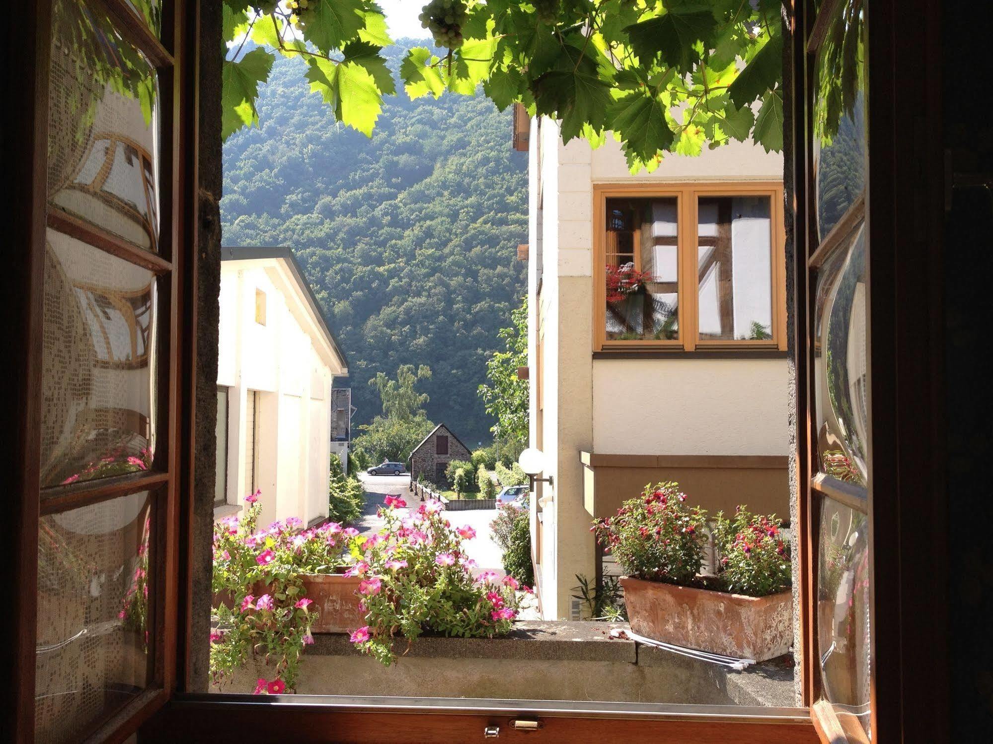 Hotel Weingut Dehren Элленц-Польтерсдорф Экстерьер фото
