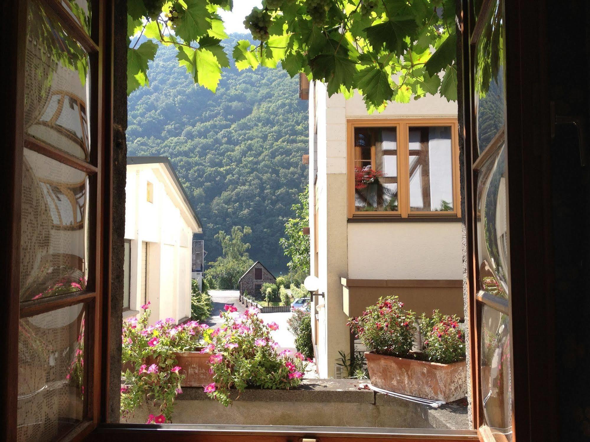 Hotel Weingut Dehren Элленц-Польтерсдорф Экстерьер фото
